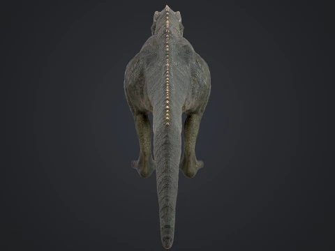 Giganotosaurus 3D Model