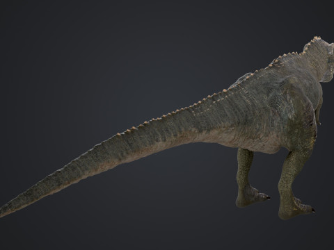 南方巨兽龙 3D 模型