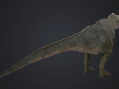 Giganotosaurus 3D Model