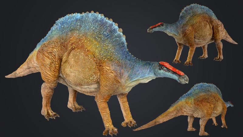 Ouranosaurus 3D Модель .c4d .max .obj .3ds .fbx .stl .blend