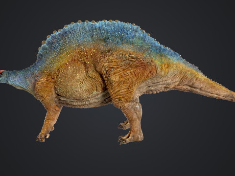 Ouranosaurus 3D Модель