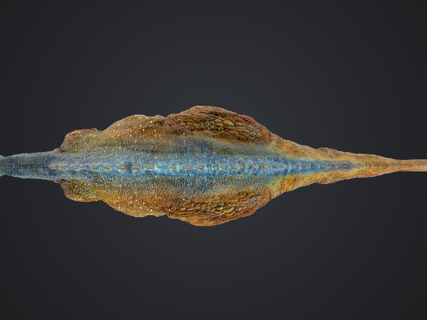 Ouranosaurus 3D Модель