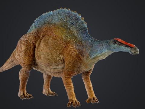 Ouranosaurus 3D Модель