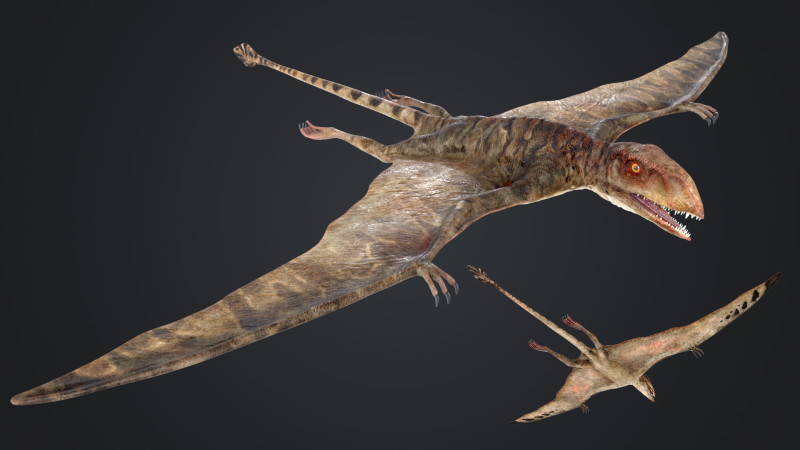 Peteinosaurus Modello 3D .c4d .max .obj .3ds .fbx .stl .blend