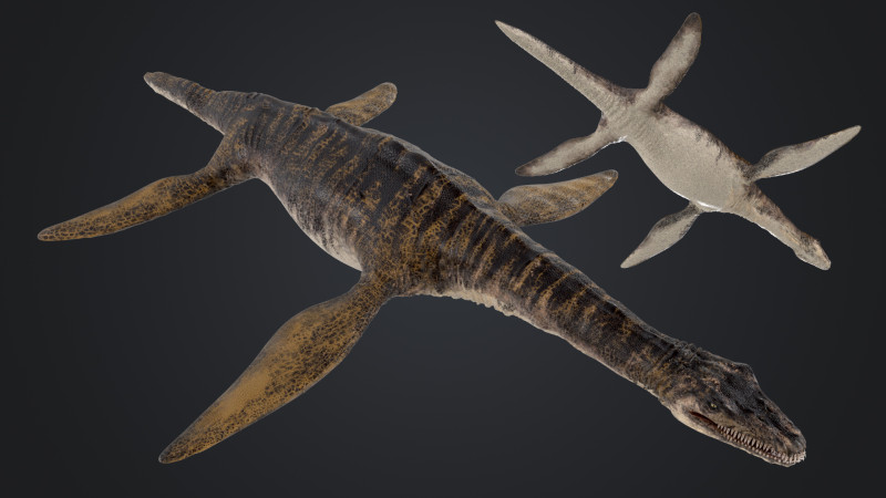 Plesiosaurus 3Dモデル .c4d .max .obj .3ds .fbx .stl .blend