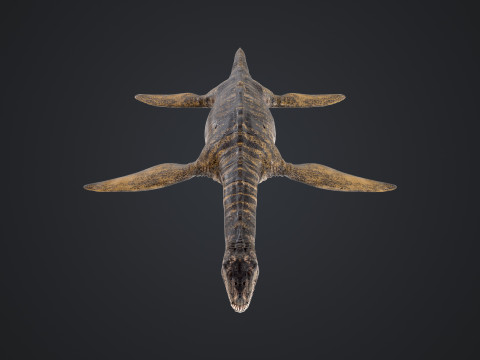 Plesiosaurus 3Dモデル