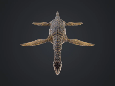 Plesiosauro Modello 3D