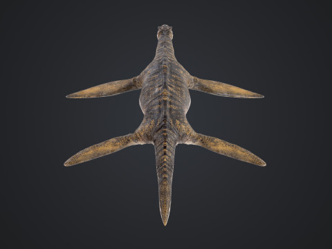 Plesiosaurus 3Dモデル