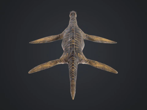 Plesiosauro Modello 3D