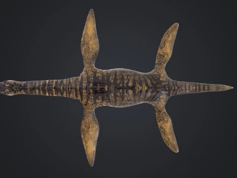 Plesiosauro Modello 3D