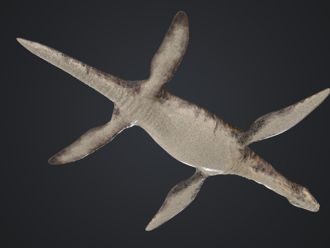 Plesiosaurus 3Dモデル