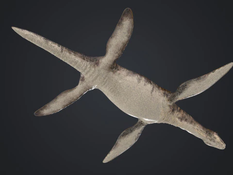 Plesiosauro Modello 3D