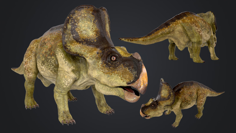 Protoceratops Model 3D .c4d .max .obj .3ds .fbx .stl .blend 