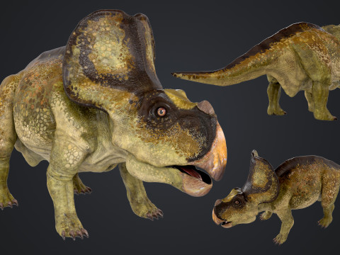 Protoceratops 3D Модель