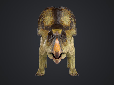 Protoceratops Model 3D