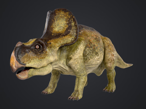 Protoceratops Model 3D