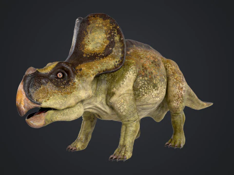 Protocer&aacute;tops Modelo 3D