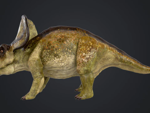 Protocer&aacute;tops Modelo 3D