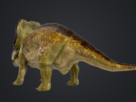Protoceratops Model 3D