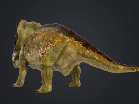 Protocer&aacute;tops Modelo 3D