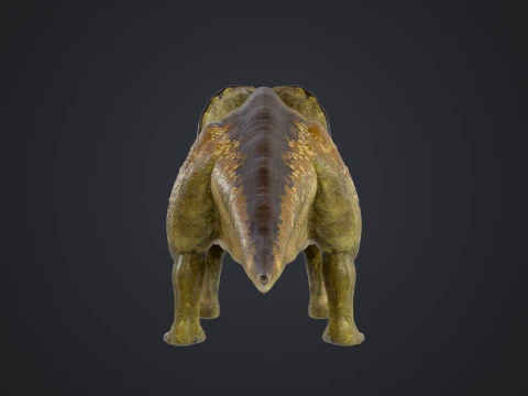 Protocer&aacute;tops Modelo 3D