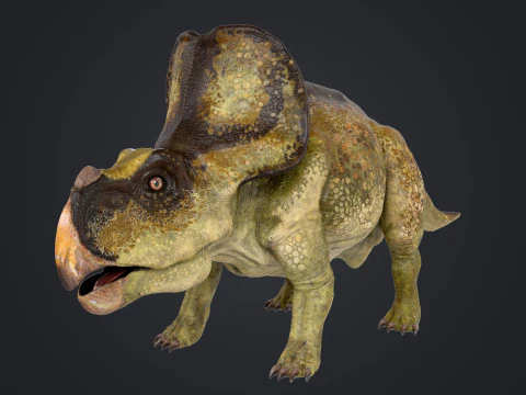 Protocer&aacute;tops Modelo 3D