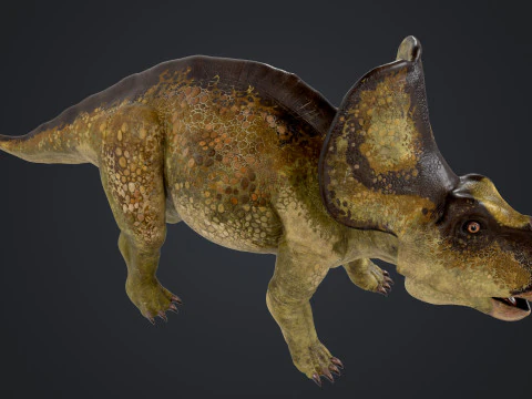 Protocer&aacute;tops Modelo 3D