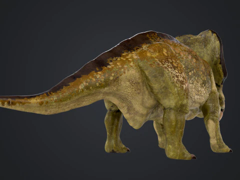 Protocer&aacute;tops Modelo 3D