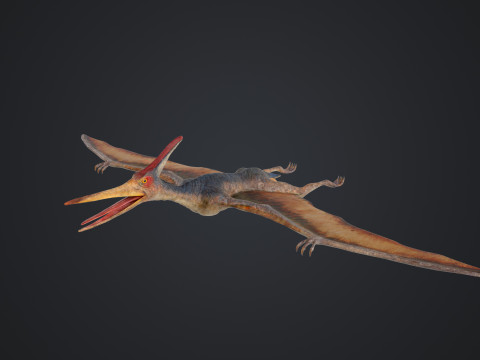 Pteranodon Modelo 3D