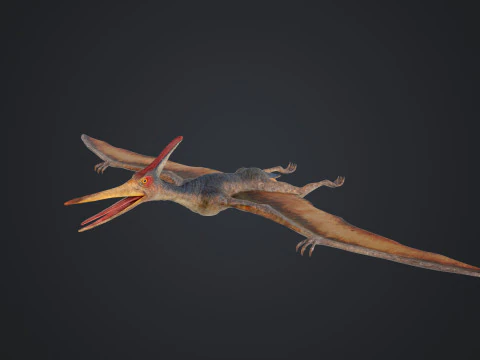 Pteranodon 3D Model