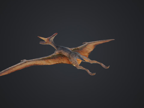 Pteranodon Modelo 3D