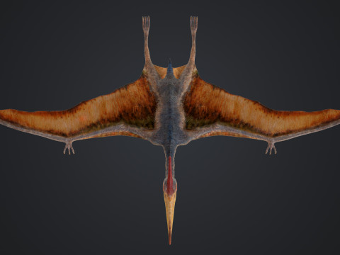 Pteranodon Modelo 3D