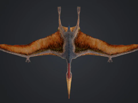 Pteranodon 3D Model