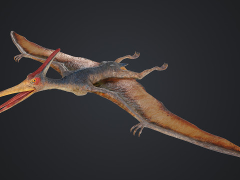 Pteranodon Modelo 3D