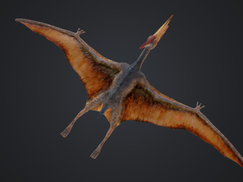 Pteranodon Modelo 3D