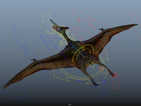 Pteranodon 3D Model