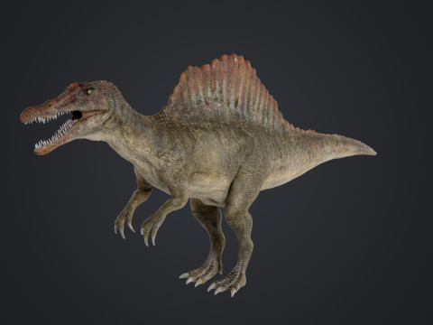 Spinosaurus 3D Modell