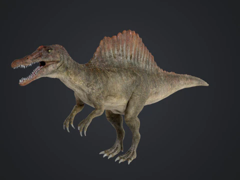 Spinosaurus 3D Model