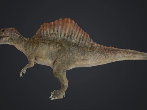 Spinosaurus 3D Model