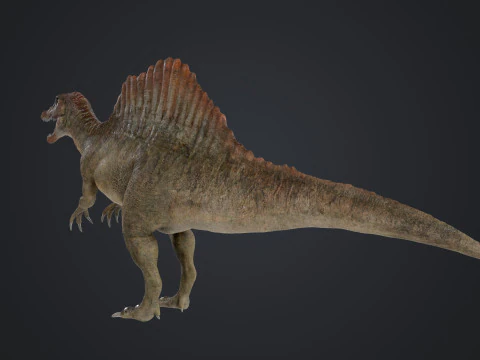 Spinosaurus 3D Model