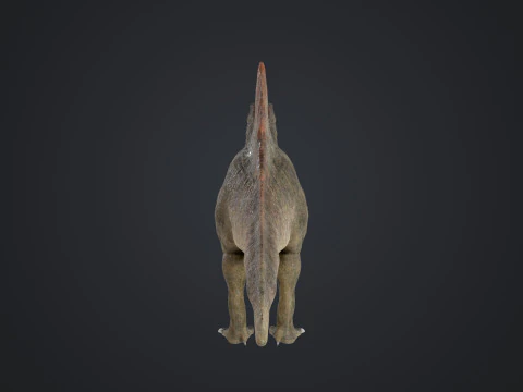 Spinosaurus 3D Model