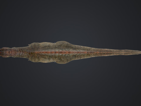 Spinosaurus 3D Modell