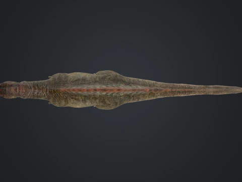 Spinosaurus 3D Model