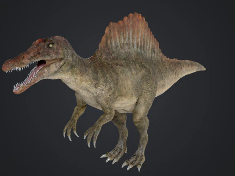 Spinosaurus 3D Model
