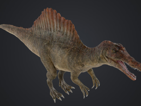 Spinosaurus 3D Modell