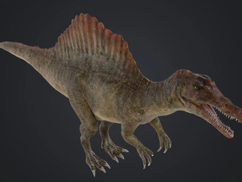 Spinosaurus 3D Model