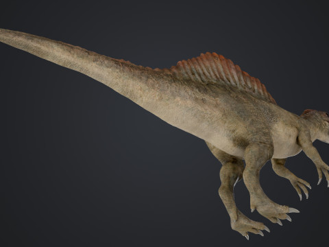 Spinosaurus 3D Modell
