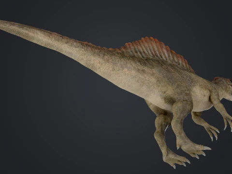 Spinosaurus 3D Model