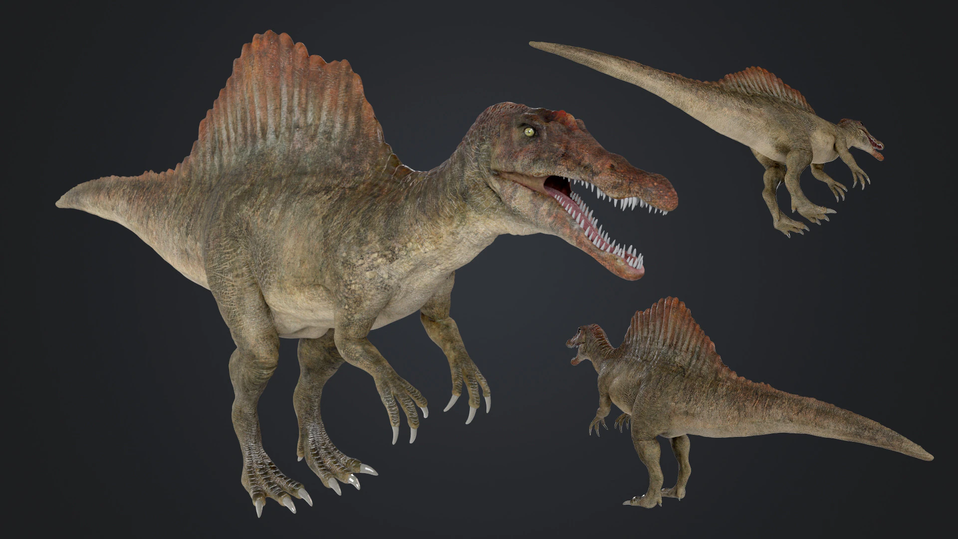 Spinosaurus 3D Model .c4d .max .obj .3ds .fbx .stl .blend 