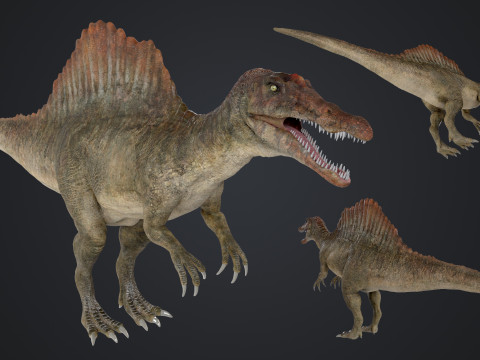 Spinosaurus 3D Modell